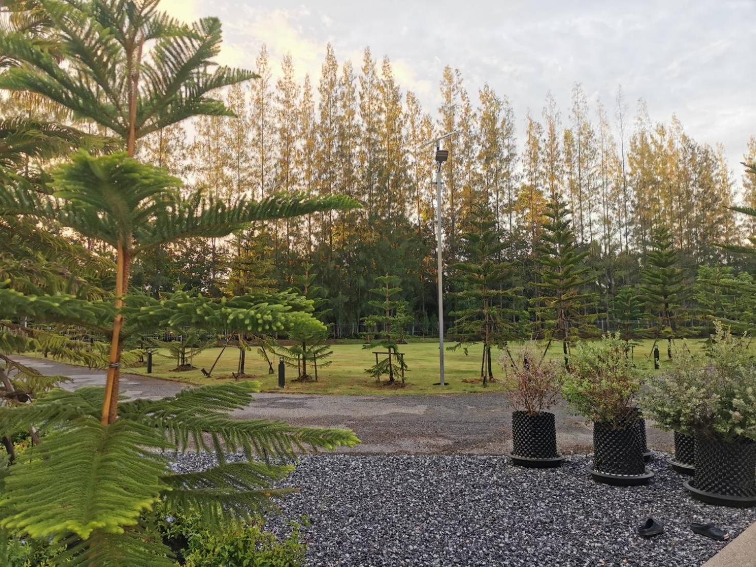 Tarn Villa Krabi town